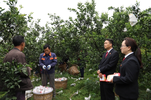 政法干警深入田间地头调解纠纷_副本.jpg